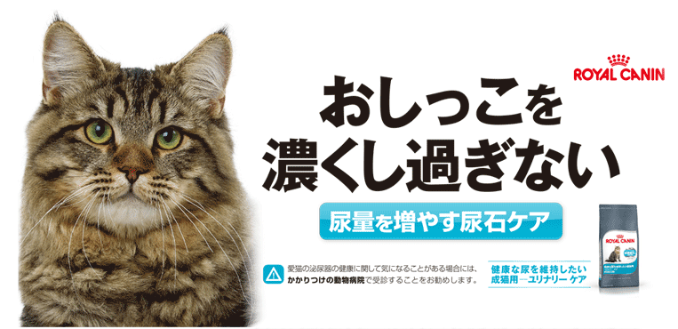 ロイヤルカナン ユリナリーケア 成猫用 尿路結石予防 健康な尿を維持