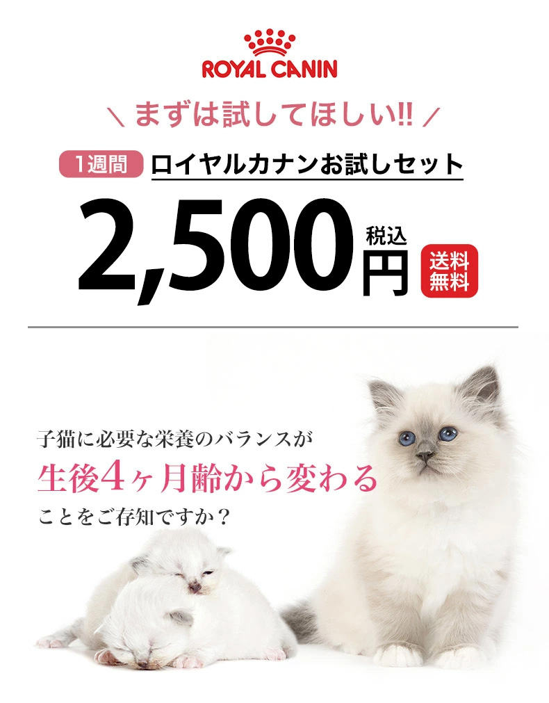 ロイヤルカナン 猫用 お試しスターターセット 年齢別セット ロイヤルカナン 猫用 お試しスターターセット 年齢別セット
