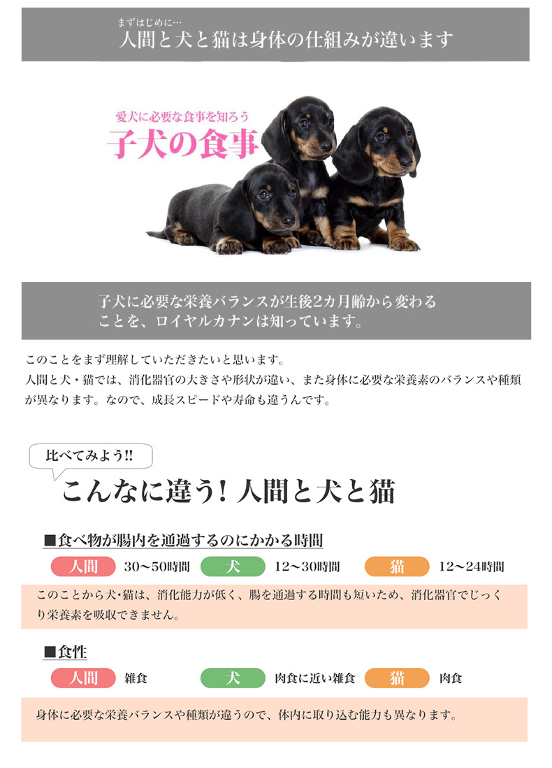 ロイヤルカナン 子犬 ミニインドアパピー (犬・ドッグ) [正規品] www