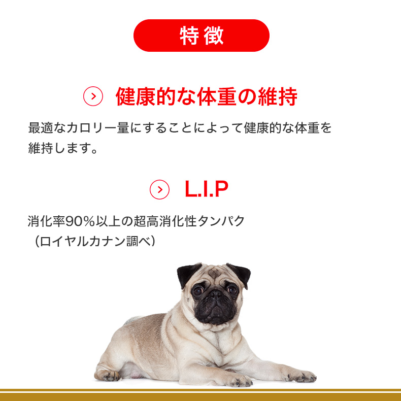 お得な6個セット】ロイヤルカナン パグ 成犬〜高齢犬用 1.5kg / パグ成