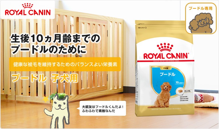 ロイヤルカナン プードル 子犬用 生後4ヵ月 10ヵ月齢まで 1 5kg Royal Canin Bhn 犬用ドライ Rcsc W 02 00 モコペット 通販 Yahoo ショッピング