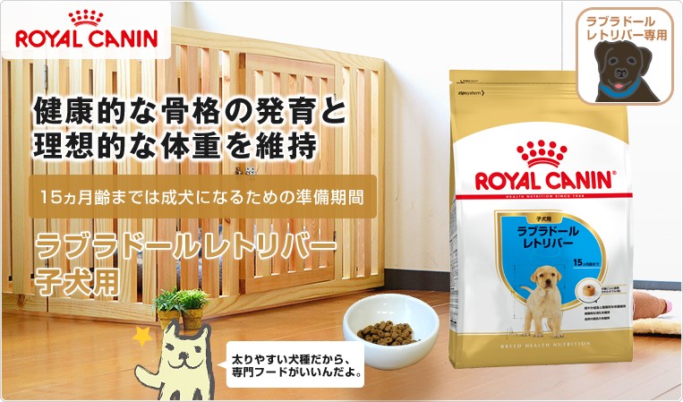 お得な4個セット】ロイヤルカナン ラブラドールレトリバー 子犬用 3kg / ラブラドールレトリバー 子犬用（生後15ヵ月齢まで） / ジッパー有り  :w-137925-00-00:モコペット - 通販 - Yahoo!ショッピング