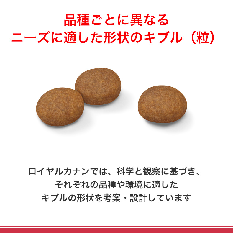 【お得な4個セット】ロイヤルカナン ミディアム アダルト 7＋ 4kg / 中型犬（成犬時体重11〜25kg）中高齢犬用（7歳以上） / SHN 犬 ドライフード ジッパー有り｜1096dog｜12