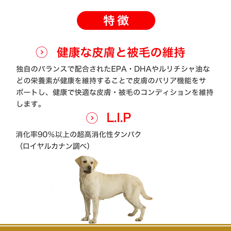 ロイヤルカナン ラブラドールレトリバー 成犬〜高齢犬用 12kg 
