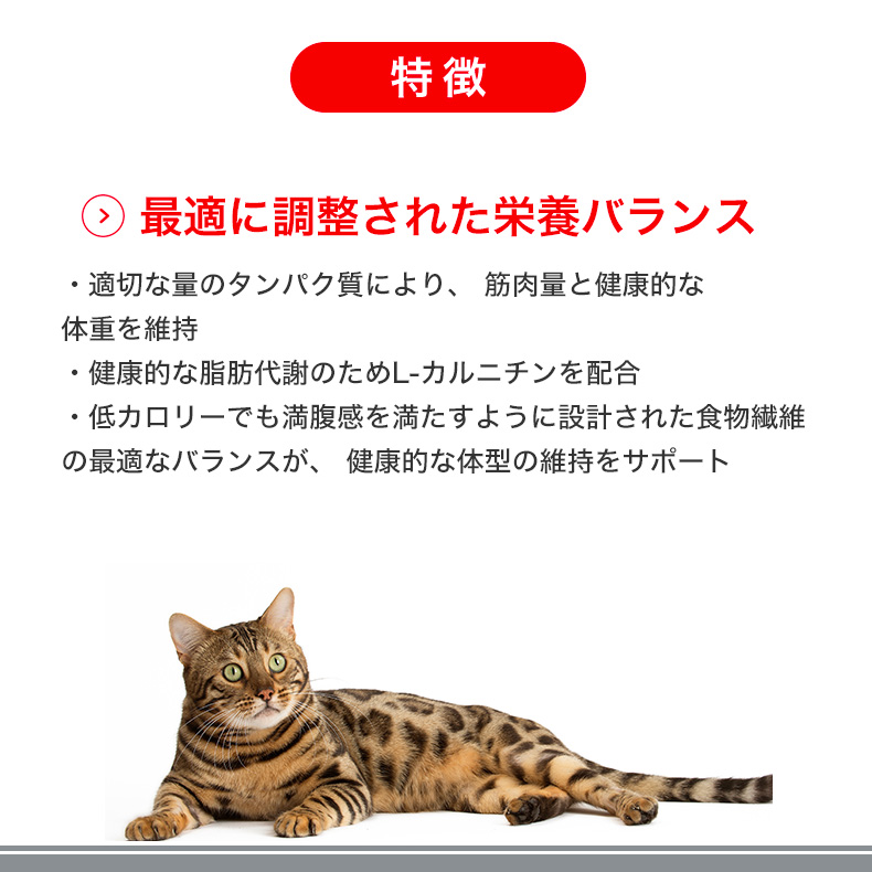ロイヤルカナン ライトウェイトケア 成猫用 85g 48袋セット4kg送料込 ロイヤルカナン ライトウェイトケア 成猫用 85g 48袋セット4kg