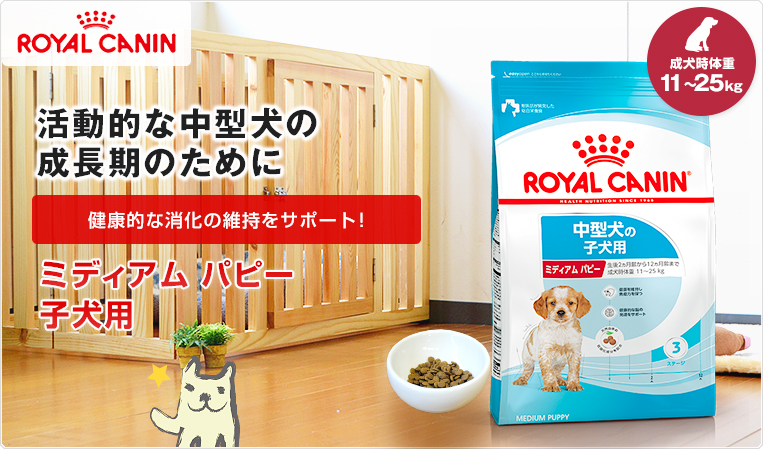 ロイヤルカナン ミディアム パピー 10kg / 中型犬（成犬時体重11〜25kg