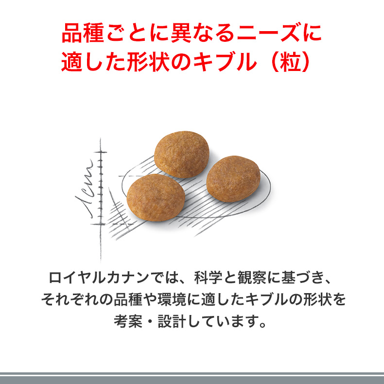 【お得な4個セット】ロイヤルカナン アロマ エクシジェント 4kg / アロマ・香りで食欲を刺激 食事にこだわりがある成猫用（1歳から12歳まで） / ジッパー有り｜1096dog｜12