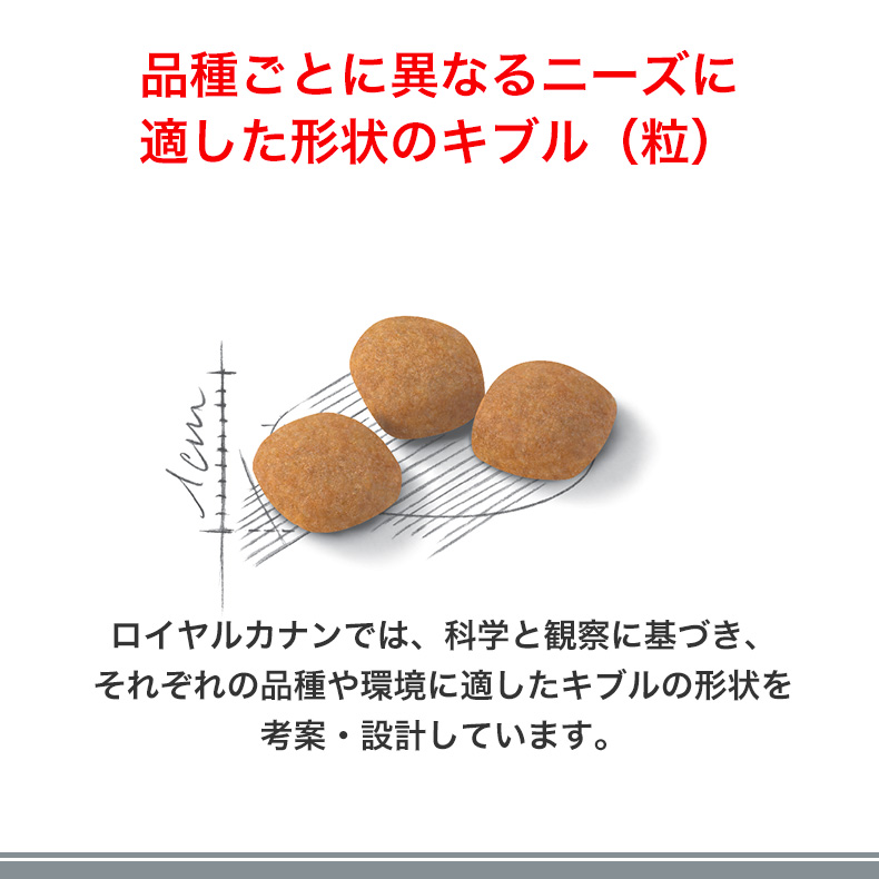 ロイヤルカナン　高タンパクな栄養バランスで食欲を刺激　キャット10kg Amazon | ロイヤルカナン 高タンパクな栄養バランスで食欲を刺激