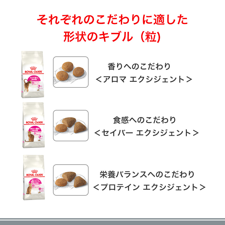 ロイヤルカナン（ROYAL CANIN） 【お得な12個セット】ロイヤルカナン