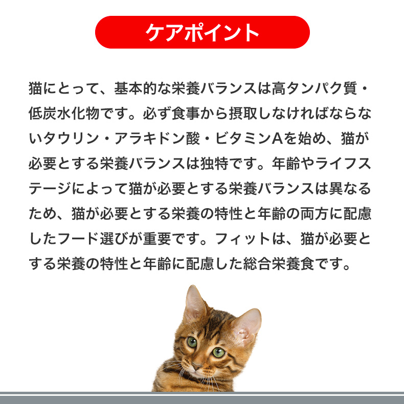ロイヤルカナン フィット 10kg 標準的な成猫用の商品一覧 通販 - Yahoo 