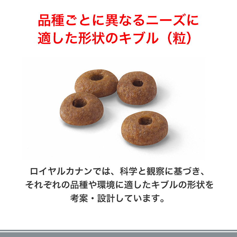 ロイヤルカナン フィット 2kg / 適度に運動し、外に行く機会のある標準的な成猫用（生後12ヵ月齢から7歳まで） / ドライフード ジッパー有り | ロイヤルカナン | 11