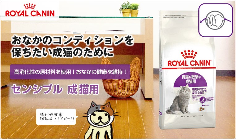 ロイヤルカナン 猫 FHN センシブル 4kg×2個セット ≪正規品≫ 送料無料