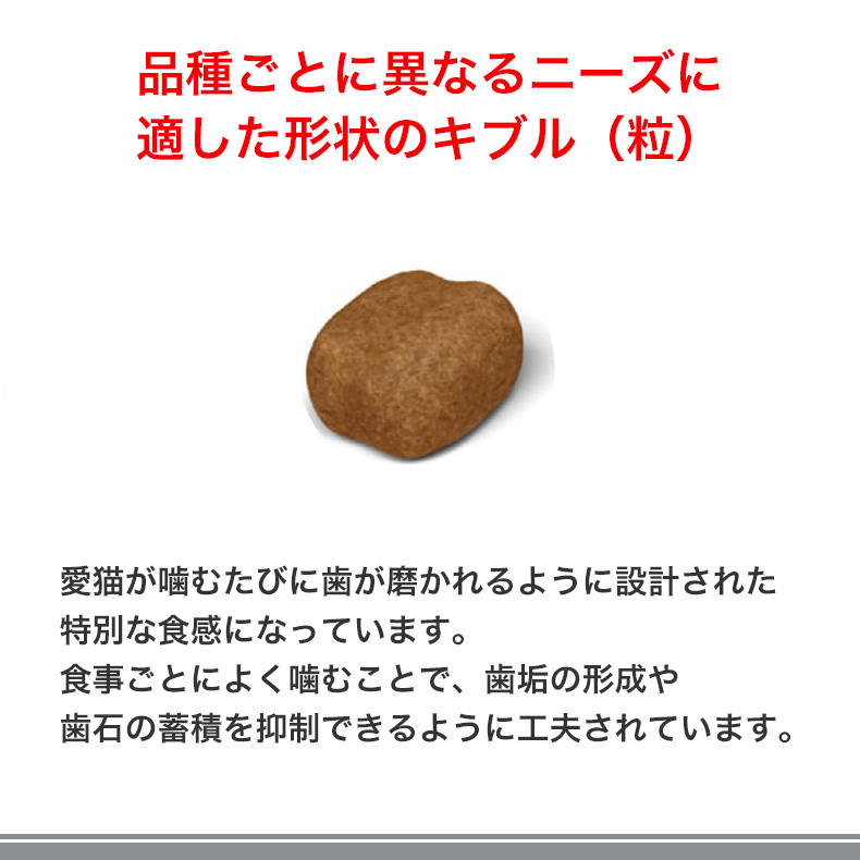 ロイヤルカナン デンタル ケア 400g / 歯垢・歯石が気になる成猫 ロイヤルカナン デンタル ケア 400g / 歯垢・歯石が気になる成猫