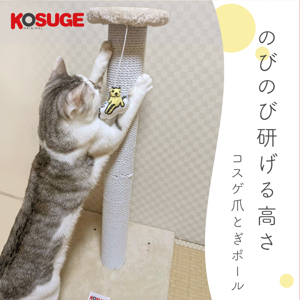 リッチェル キャットケージ Sサイズ 5978 猫爪とぎきのこ、ニンジン