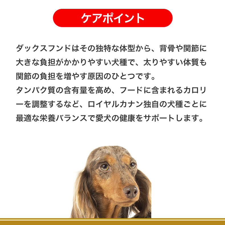 ロイヤルカナン ダックスフンド 成犬用 3kg / ダックスフンド成犬用（生後10ヵ月齢以上） / ドライフード ジッパー有り｜1096dog｜09