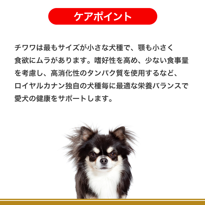 【お得な4個セット】ロイヤルカナン チワワ 成犬用 3kg / チワワ 成 