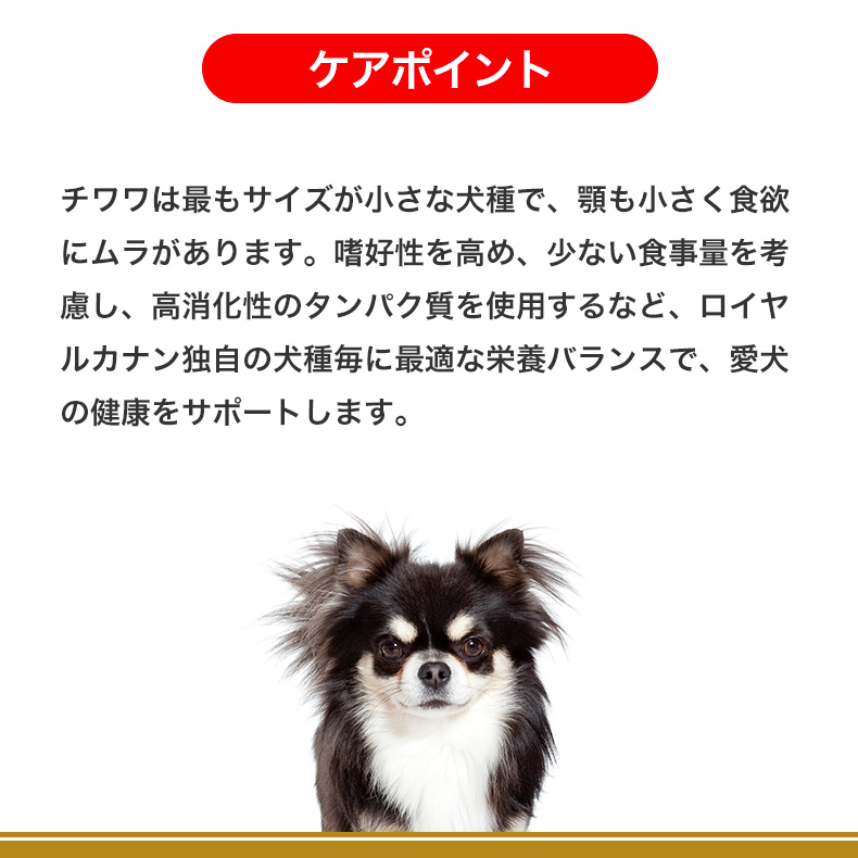 お得な5個セット】ロイヤルカナン チワワ 子犬用 1.5kg / チワワ 子犬