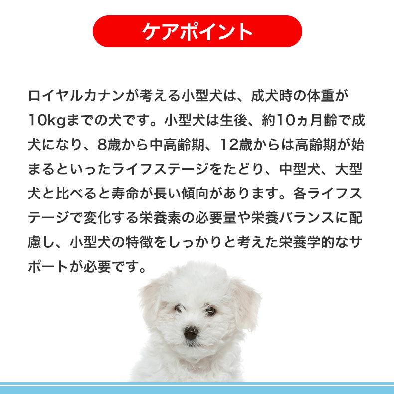 ロイヤルカナン ミニ パピー 8kg / 小型犬（成犬時体重1〜10kg）の子犬
