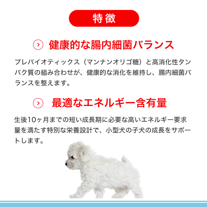 ロイヤルカナン ミニ パピー 8kg / 小型犬（成犬時体重1〜10kg）の子犬用（生後10ヵ月齢まで） / SHN 犬 ドライフード ジッパー有り[SoLd]｜1096dog｜11