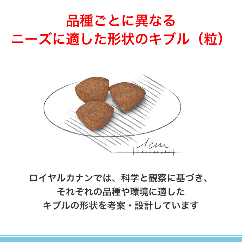 ロイヤルカナン ミニ パピー 2kg / 小型犬（成犬時体重1〜10kg）の子犬用（生後10ヵ月齢まで） / SHN 犬 ドライフード ジッパー有り[SoLd]｜1096dog｜12