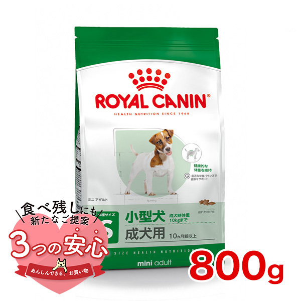 ミニ インドア アダルト (室内 小型 成犬用 ドライ） | Royal