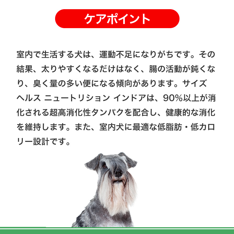 【お得な4個セット】ロイヤルカナン ミニ インドア シニア 3.5kg / 室内で生活する小型犬（成犬時体重10kgまで）中・高齢犬用（8歳以上） / ジッパー有り | ロイヤルカナン | 08
