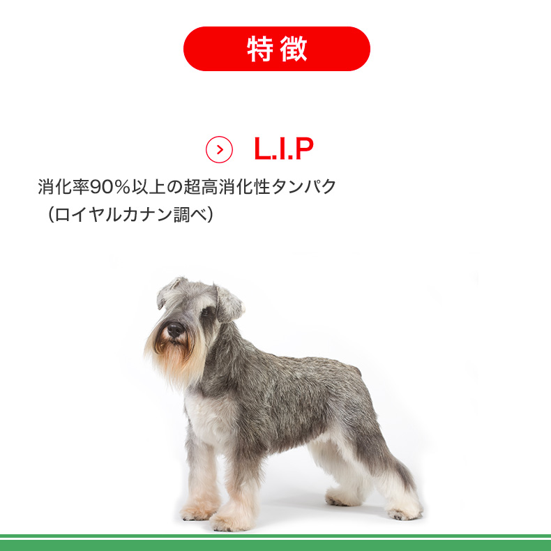 【お得な4個セット】ロイヤルカナン ミニ インドア シニア 3.5kg / 室内で生活する小型犬（成犬時体重10kgまで）中・高齢犬用（8歳以上） / ジッパー有り | ロイヤルカナン | 10