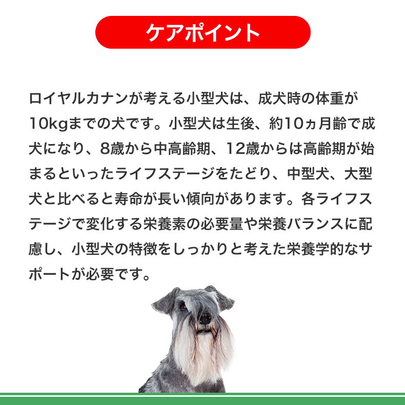【お得な4個セット】ロイヤルカナン ミニ エイジング 12+ 3.5kg / 小型犬（成犬時体重1〜10kg）高齢犬用（12歳以上） / SHN 犬 ドライフード ジッパー有り｜1096dog｜09