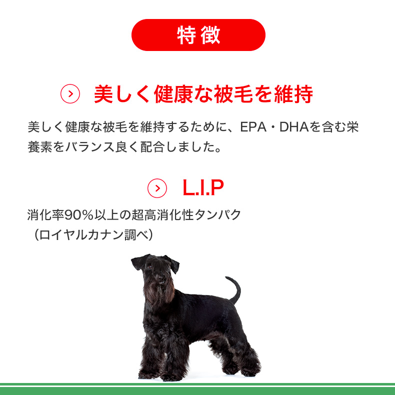 【お得な4個セット】ロイヤルカナン ミニ エイジング 12+ 3.5kg / 小型犬（成犬時体重1〜10kg）高齢犬用（12歳以上） / SHN 犬 ドライフード ジッパー有り｜1096dog｜11