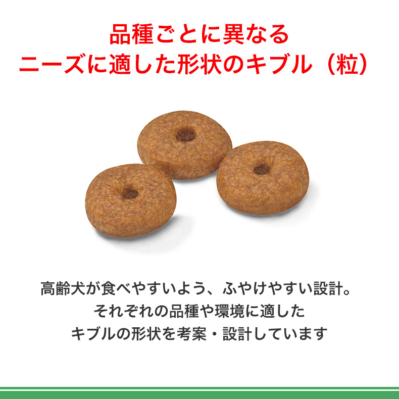 【お得な4個セット】ロイヤルカナン ミニ エイジング 12+ 3.5kg / 小型犬（成犬時体重1〜10kg）高齢犬用（12歳以上） / SHN 犬 ドライフード ジッパー有り｜1096dog｜12