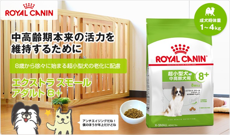 【お得な4個セット】ロイヤルカナン エクストラ スモール アダルト 8+ 3kg / 超小型犬（成犬時体重4kgまで）中高齢犬用（８歳以上） /  SHN 犬 ジッパー有り