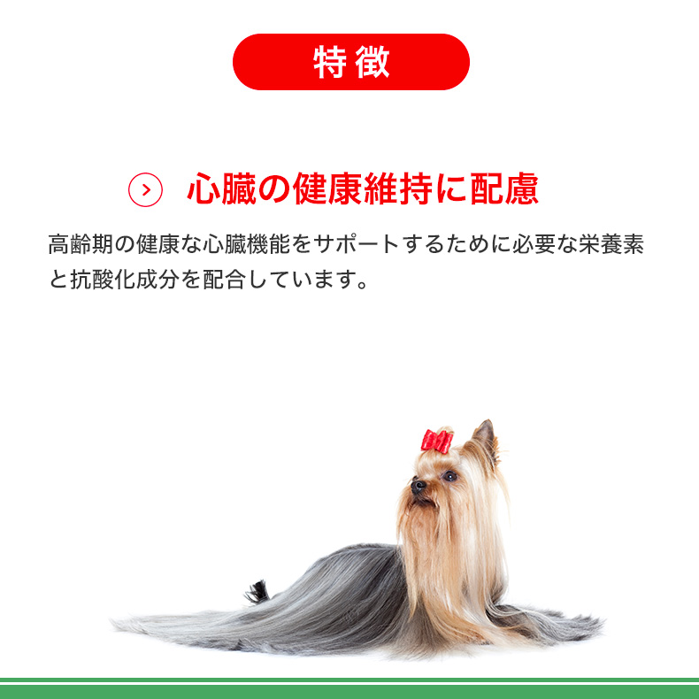 Amazon.co.jp: ロイヤルカナン SHN エクストラ スモール