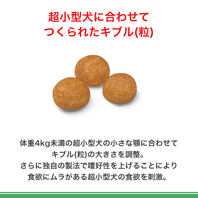 ロイヤルカナン エクストラ スモール エイジング 12+ 500g / 超