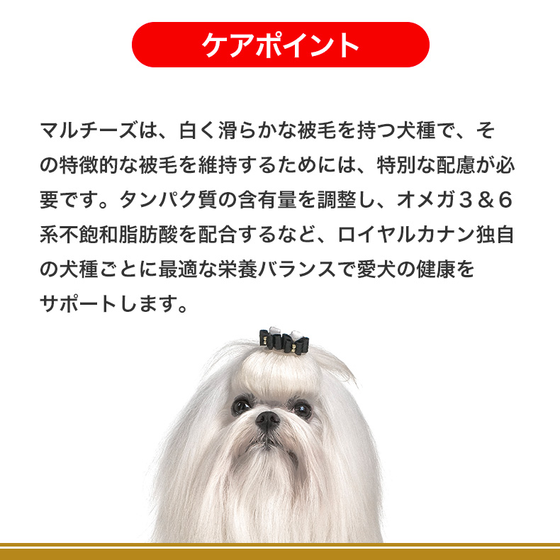お得な6個セット】ロイヤルカナン マルチーズ 成犬〜高齢犬用 1.5kg