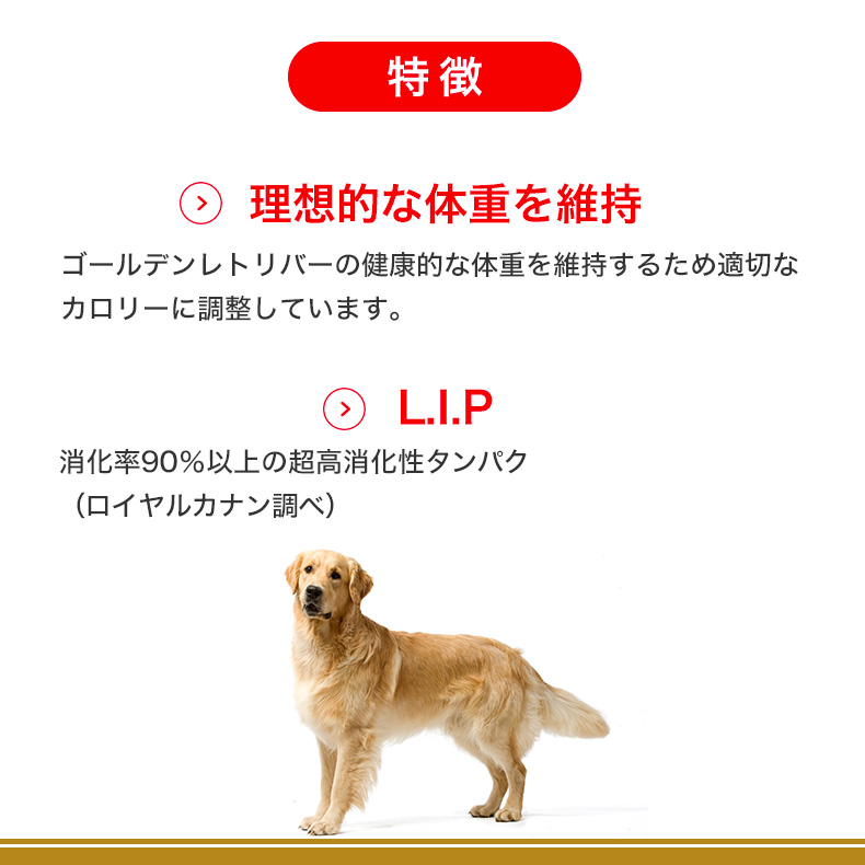 ロイヤルカナン ゴールデンレトリバー 成犬〜高齢犬用 12kg