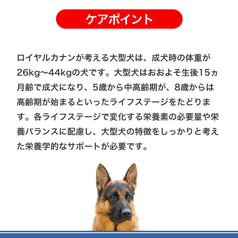 マキシ エイジング 8+ (大型 高齢犬用 ドライ） | Royal Canin JP