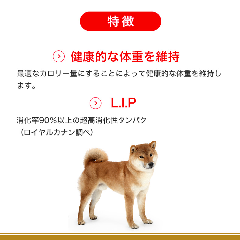 ロイヤルカナン 柴犬 成犬用 3kg / 柴犬 成犬用（生後10ヵ月齢以上 