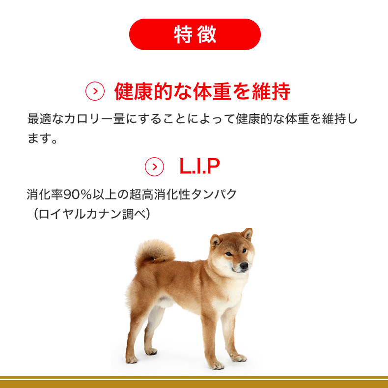 ロイヤルカナン 柴犬 成犬用 3kg / 柴犬 成犬用（生後10ヵ月齢以上