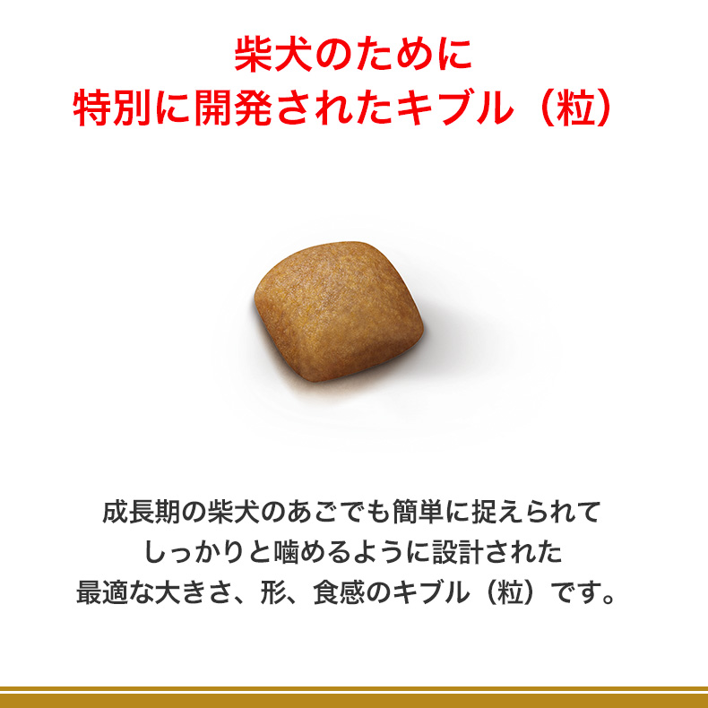 【お得な4個セット】ロイヤルカナン 柴犬 成犬用 3kg / 柴犬　成犬用（生後10ヵ月齢以上） / ドライフード ジッパー有り｜1096dog｜12