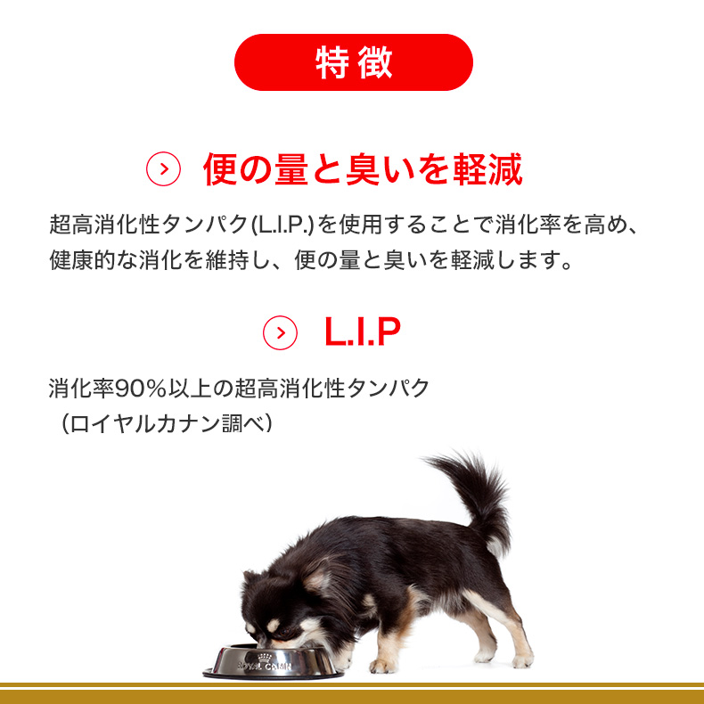 ロイヤルカナン チワワ 中高齢犬用 3kgの商品一覧 通販 - Yahoo