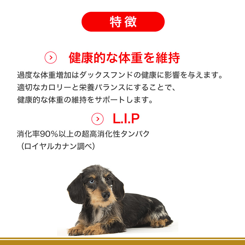 ロイヤルカナン ダックスフンド 高齢犬用 3kgの商品一覧 通販 - Yahoo