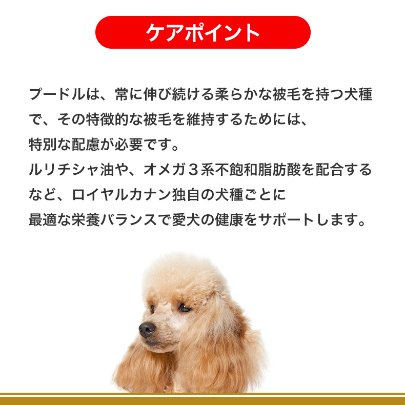 ロイヤルカナン プードル 中高齢犬用の商品一覧 通販 - Yahoo!ショッピング