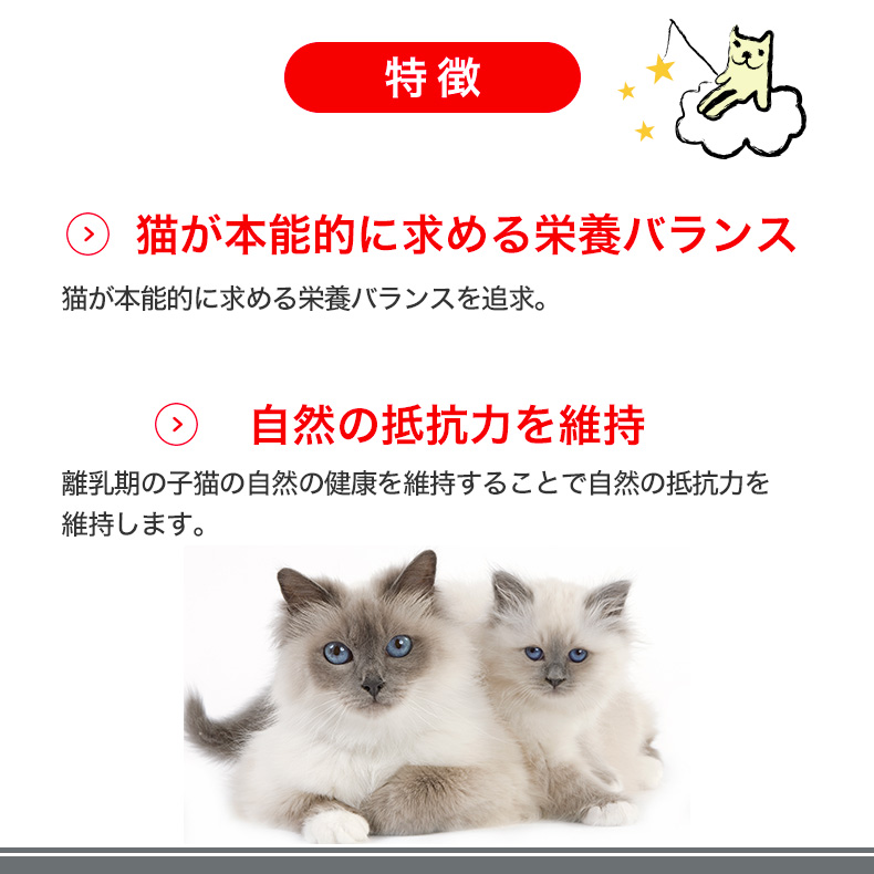 ロイヤルカナン マザー&ベビーキャット 100g / 成長前期の子猫用(母猫用: 妊娠後期〜授乳期、子猫用: 生後1〜4ヵ月齢まで) /  FHN-WET 猫