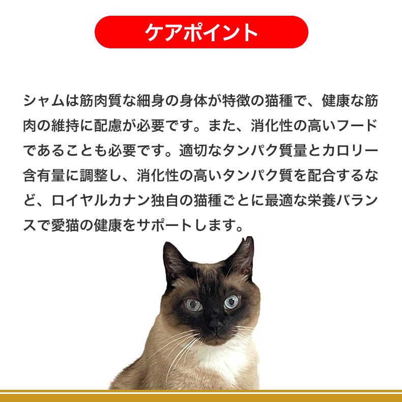 【お得な6個セット】ロイヤルカナン シャム 成猫用 2kg / シャム 成猫用（生後12ヵ月齢から12歳まで） / ドライフード ジッパー有り｜1096dog｜09