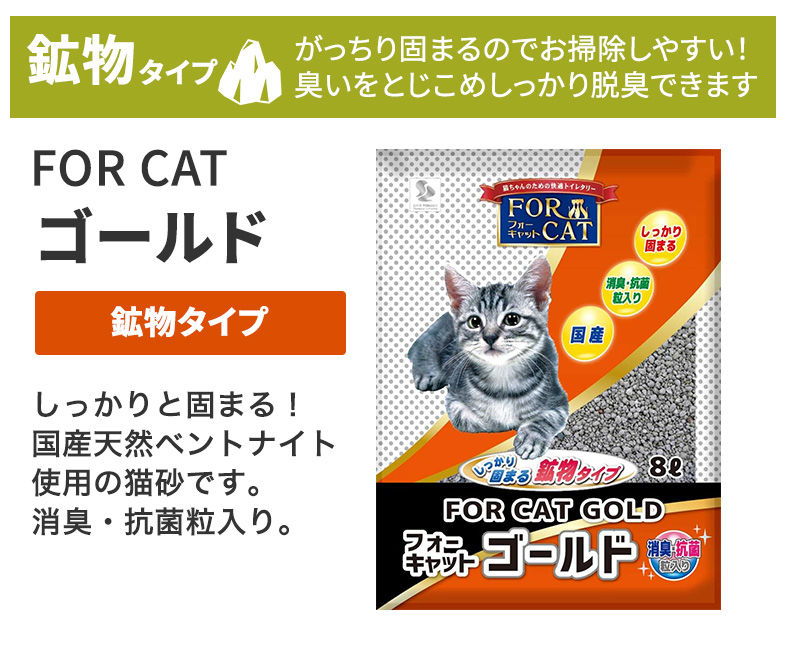 茶色ネコ 楽天市場】茶トラ 子猫の通販
