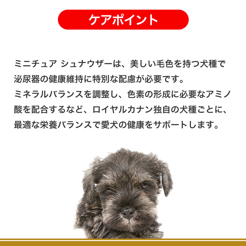 ロイヤルカナン ミニチュアシュナウザー 子犬用 1.5kg / ミニチュアシュナウザー子犬用（生後10ヵ月齢まで） / ドライフード ジッパー有り｜1096dog｜09