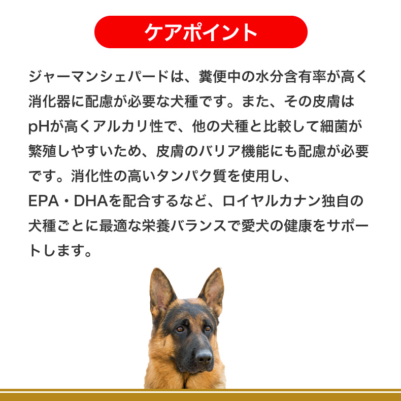 ロイヤルカナン ジャーマンシェパード 成犬〜高齢犬用 3kg / ジャーマンシェパード 成犬・高齢犬用（生後15ヵ月齢以上） / ドライフード  ジッパー有り