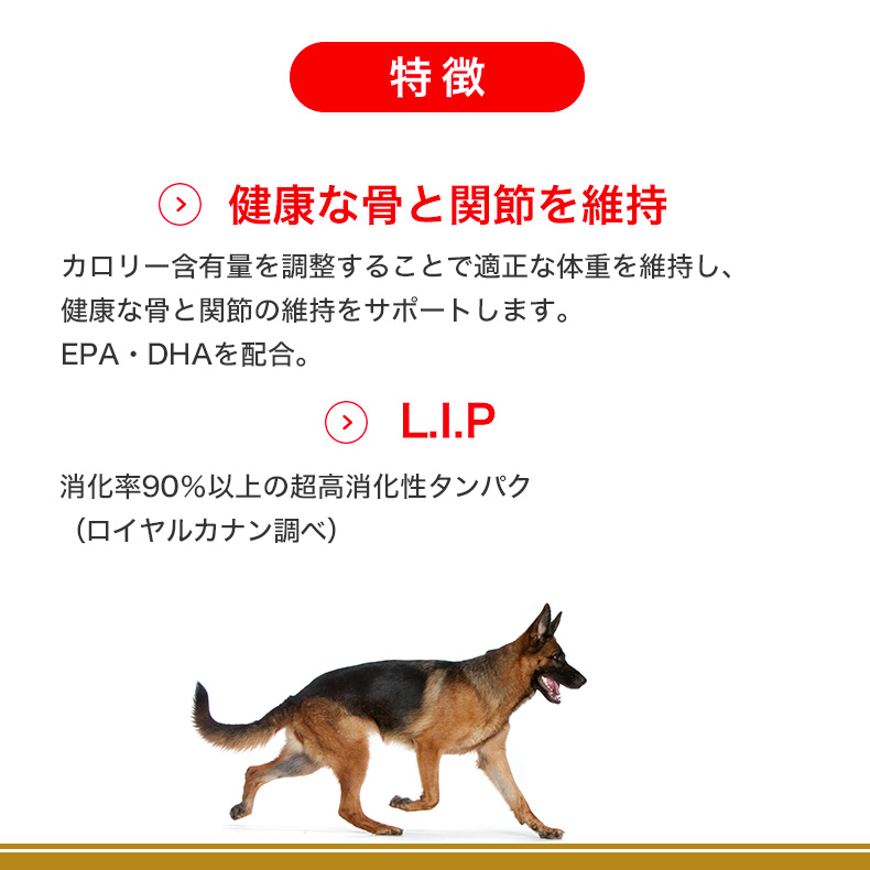 【お得な4個セット】ロイヤルカナン ジャーマンシェパード 成犬〜高齢犬用 3kg / ジャーマンシェパード 成犬・高齢犬用（生後15ヵ月齢以上） /  ジッパー有り