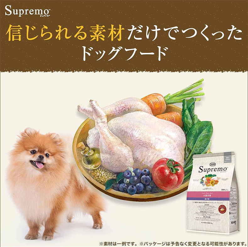 [シュプレモ]Supremo 超小型犬用 小粒 4kg 超小型犬用 小粒 成犬用 犬用品 フード #w-142482-00-00 | シュプレモ | 01