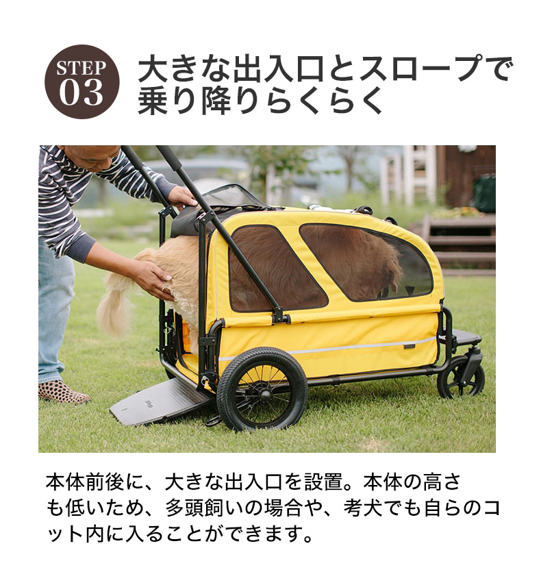 AIRBUGGY（エアバギー） 【正規2年保証】エアバギー キャリッジ